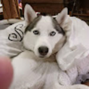 Meet your Posher, Joyce